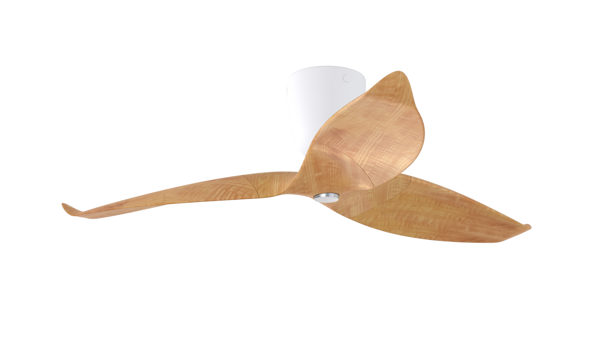 Aeratron AE+3 with Light Light Wood Finish / White