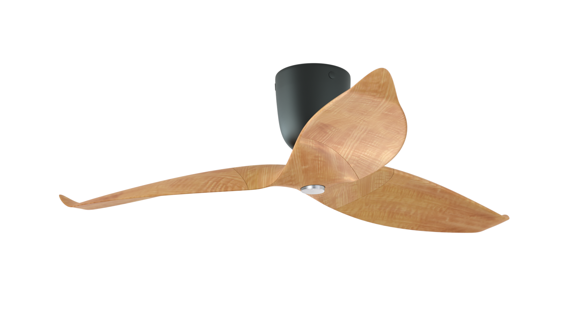 Aeratron AE+3 with Light in Light Wood Finish / Black